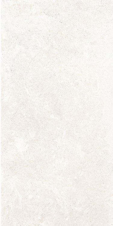 OL Limestone Bianco Matte 12 x 24